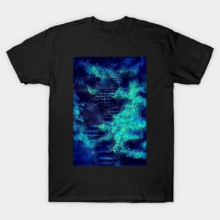 Stepping Stone T-Shirt